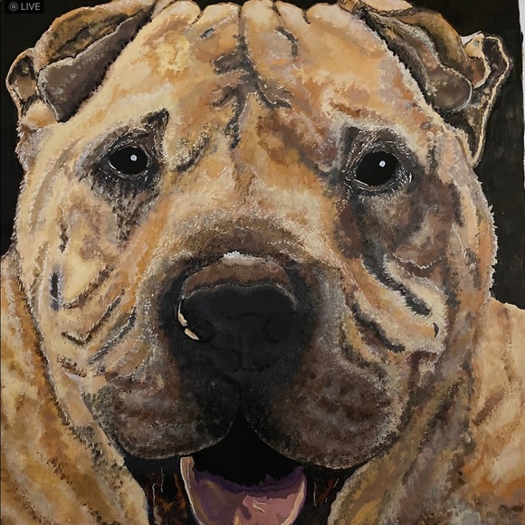 Meet your Posher, Charlie - Picture 2 of 2
